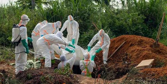 刚果埃博拉疫情