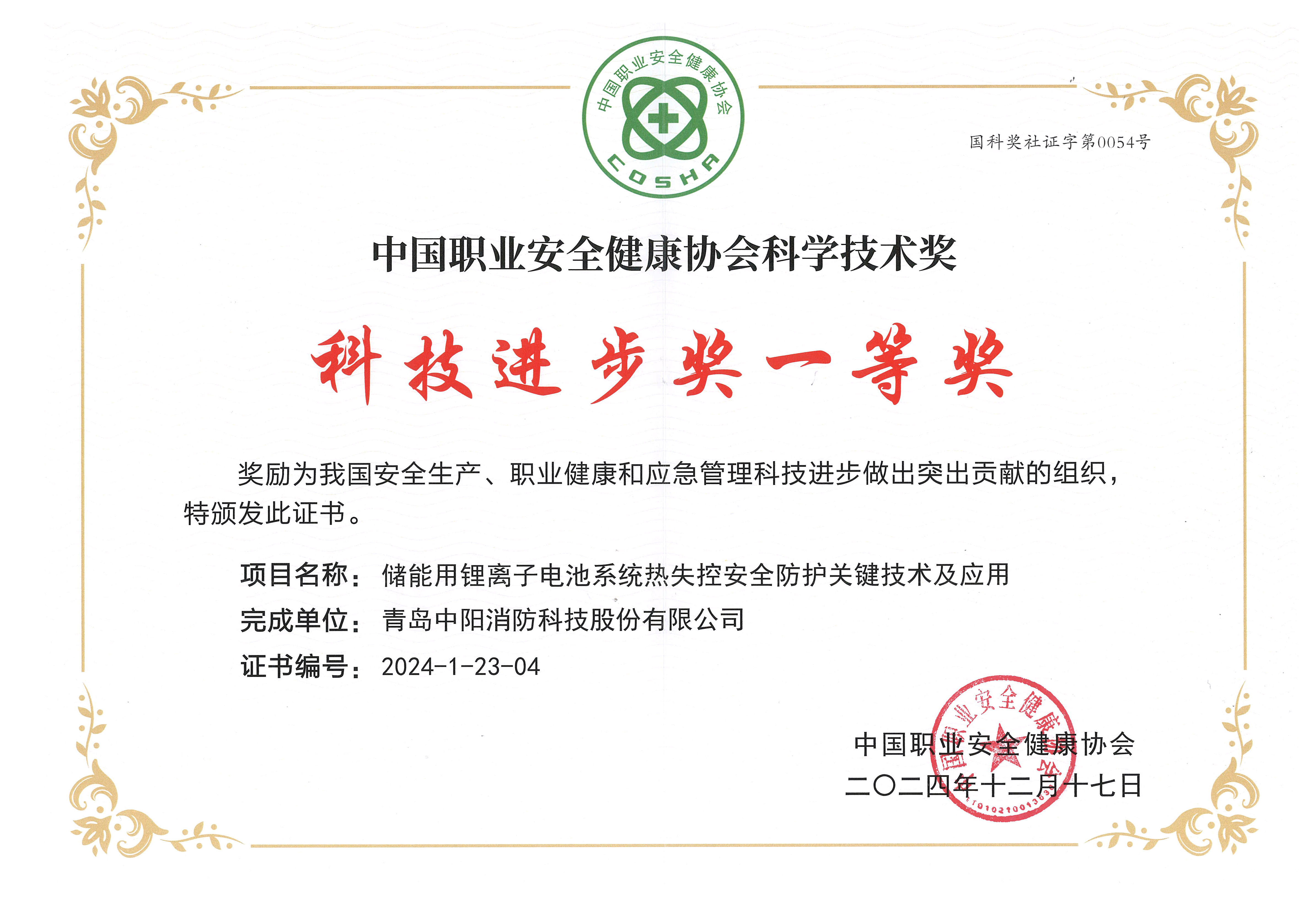 科技进步奖一等奖